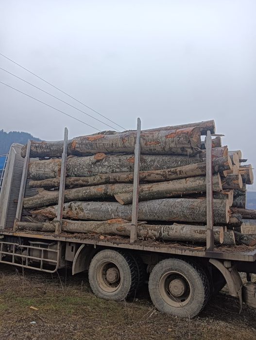 Lemne de fag pentru foc și gater