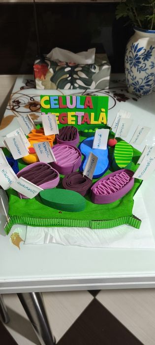 Macheta celula vegetală