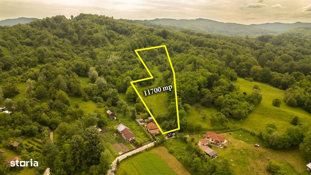 Teren de 11700 mp în mijlocul naturii la 2 ore de București
