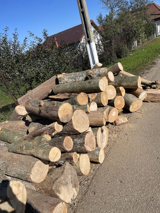 Lemne de foc de cea mai bună calitate