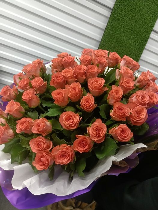 Розы по акции от производителя.