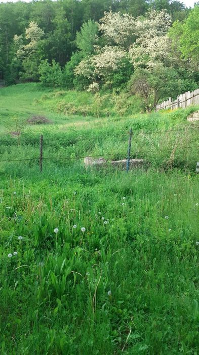 Casuta din vis, de la poalele padurii