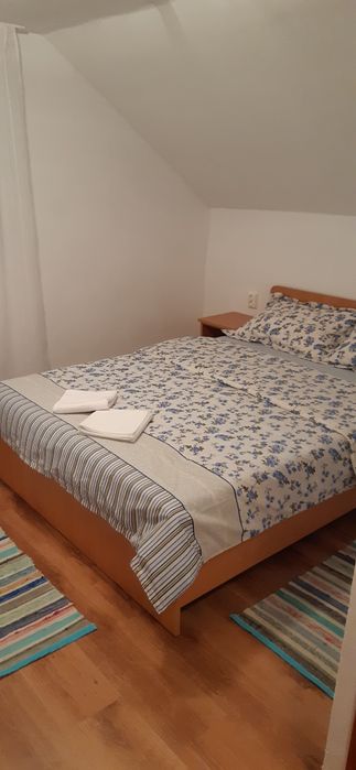 Inchiriez Cabana -  Boga Padis