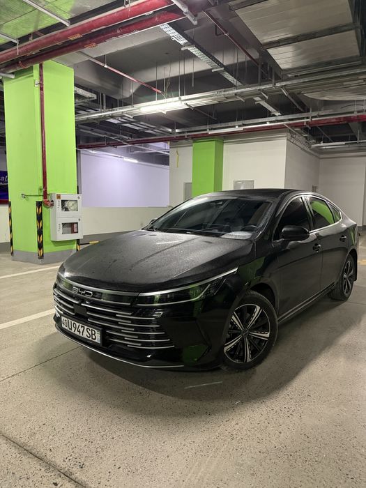 Byd chazor 2024 full