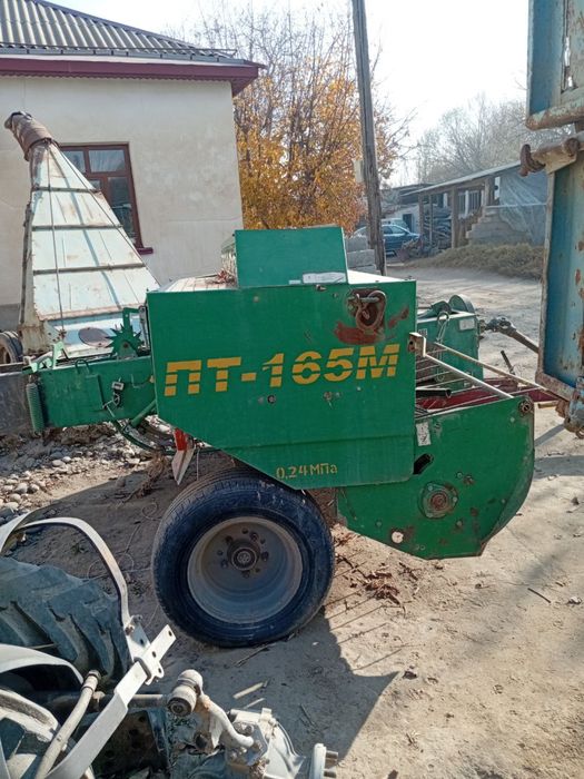 Прис  падборчик.