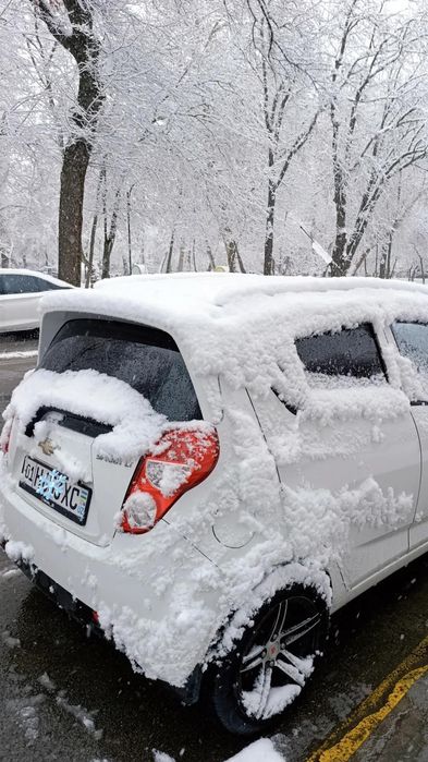 R15 Ideal Mers Diska vossen