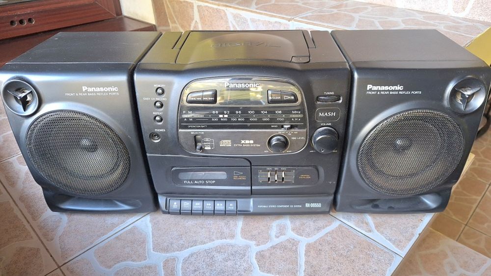 Panasonic  RX DS550