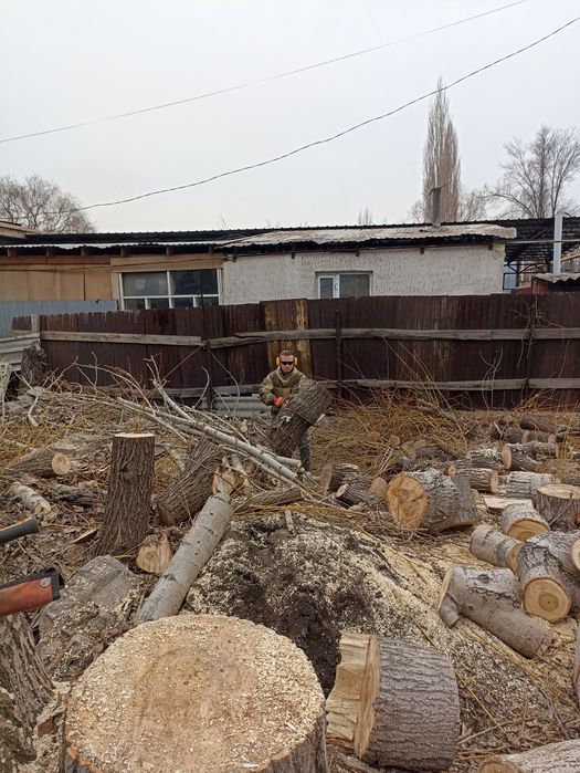 Расчистка участка , валка, спил