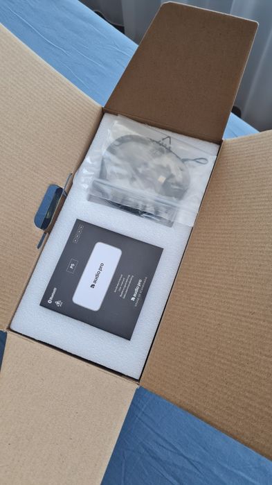 Преносима тонколона Audio Pro P5