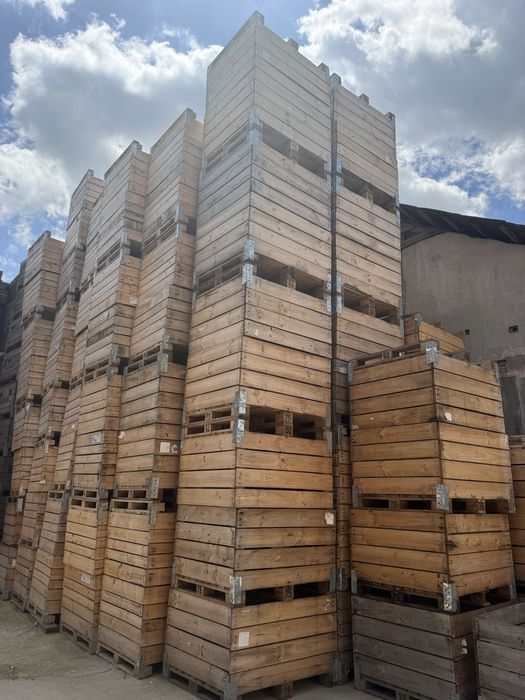 Boxpaleti 100x120