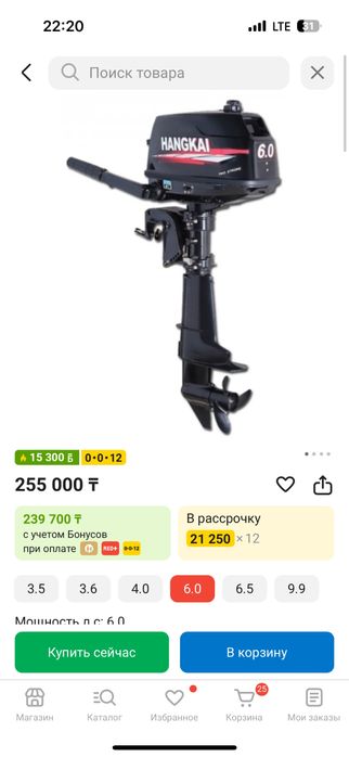 Лодка с мотором