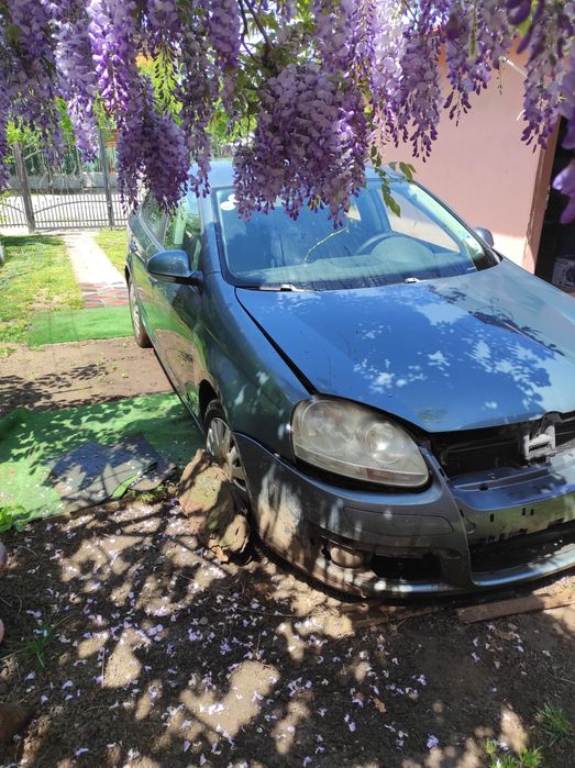 Volkswagen Jetta 2008 1.9TDI