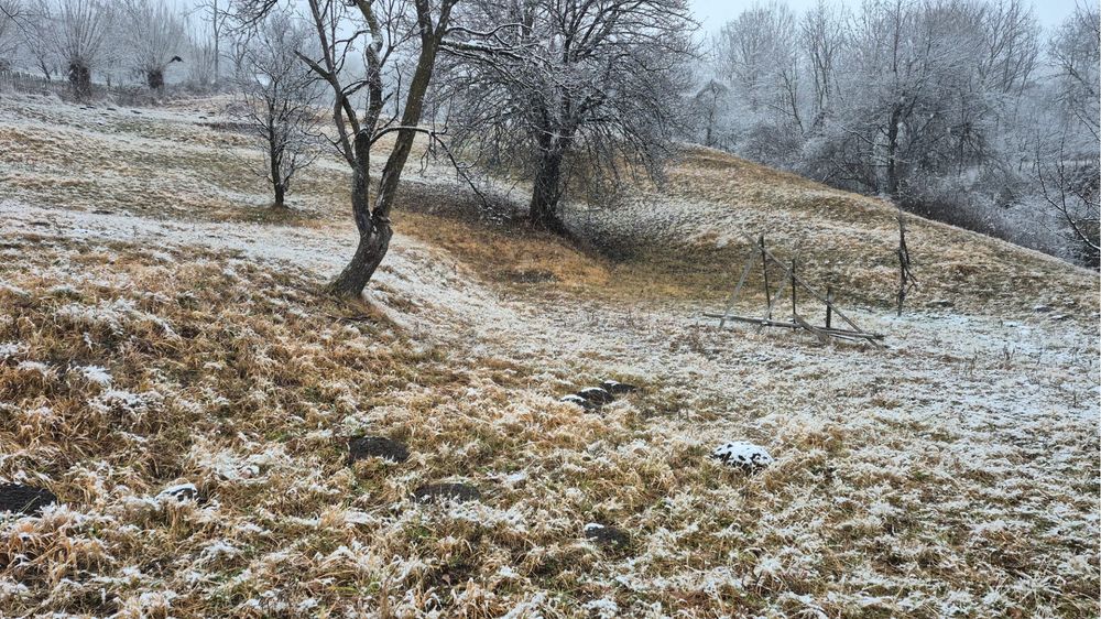 Proprietar, vand teren Secaria, PH, 9380m2
