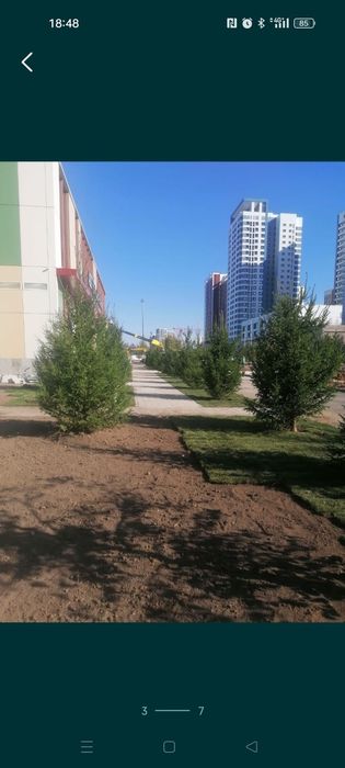 Озеленение. Благоустройство