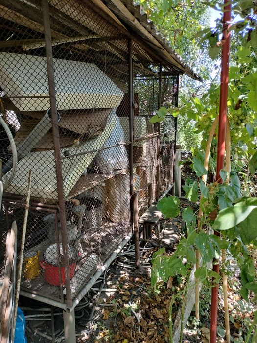 Coștei pentru păstrat porumb