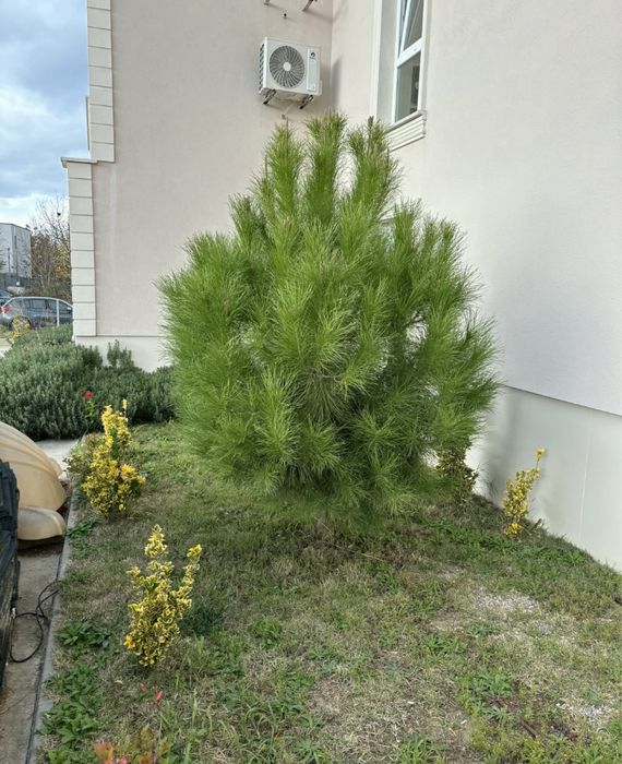 Продава се Тристаен апартамент в Пловдив, Южен - 131 кв.м за 650 €/кв.м - Снимка #6