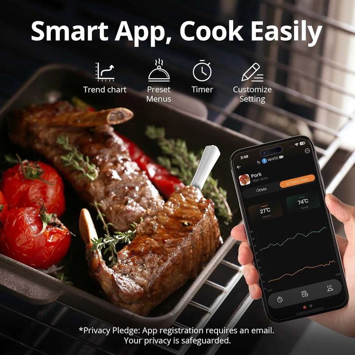 CharMeter FNT21 безжичен термометър за месо Bluetooth 100м дигитален