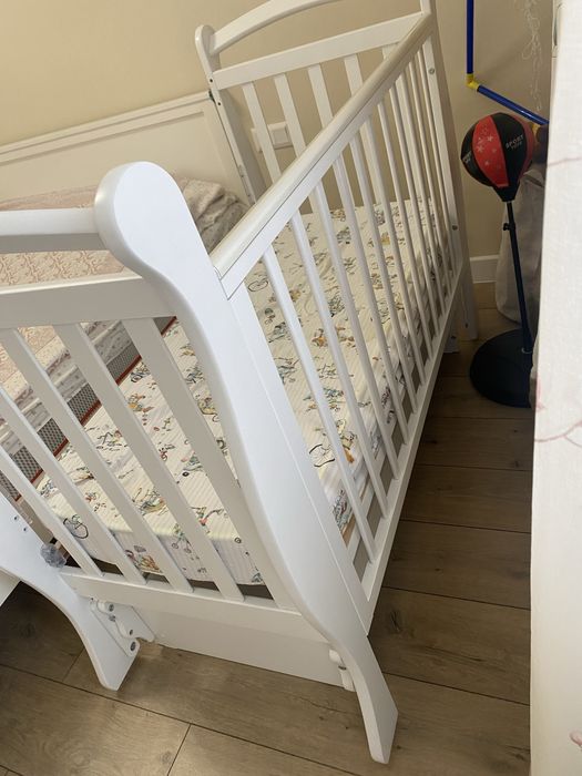 Срочно продам десткий монеж дерево