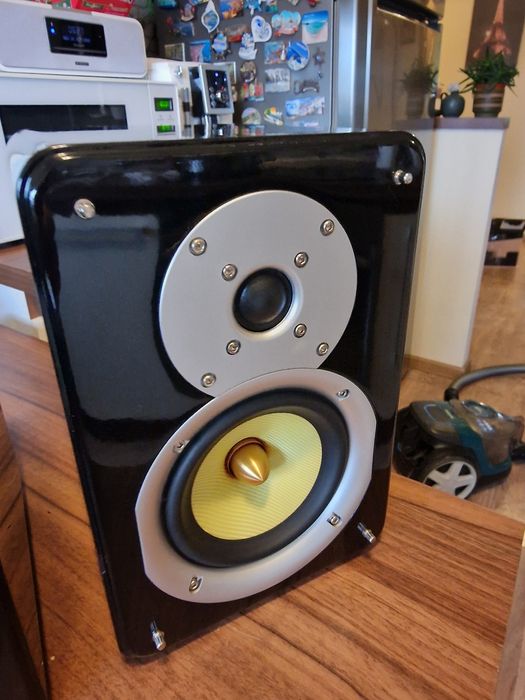 Boxe audio de top,Dantax Pro1,sunet de exceptie,2x80w,in 8 Ohm