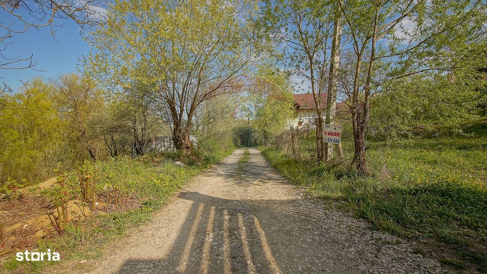 Teren intravilan 561 mp – Săcele, zona Turcheș (str. Morii)