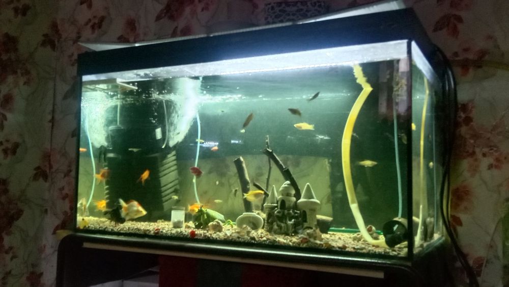 Аквариумы три штуки