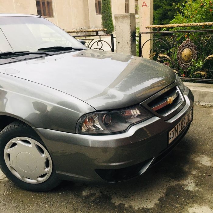 Luks kanidsaner mator gibrid