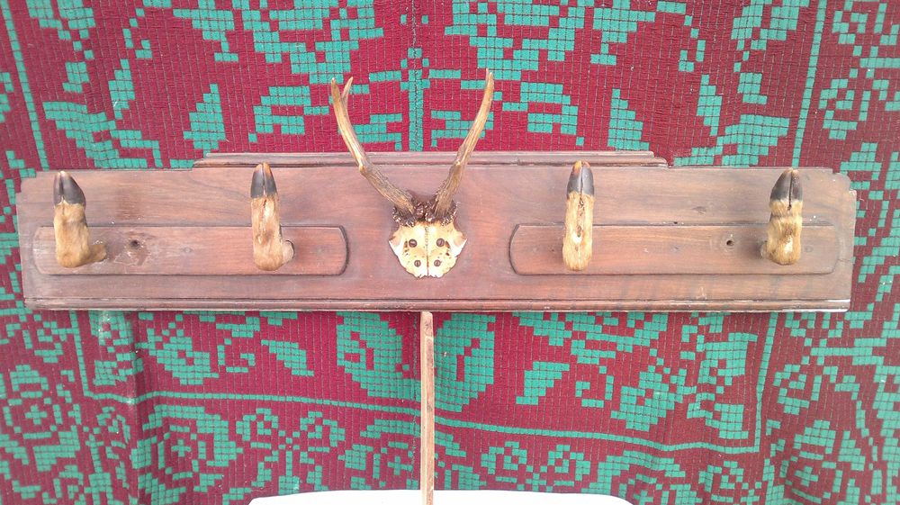 Cuier vanatoresc.  1950