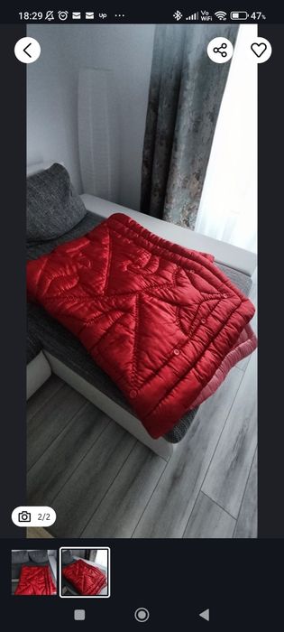 Plapuma / pilota  lana