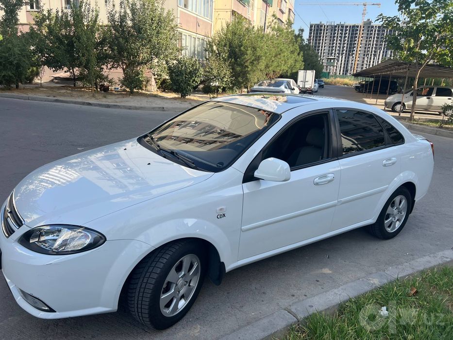 Jentra elegant pluse 2022 kraska toza