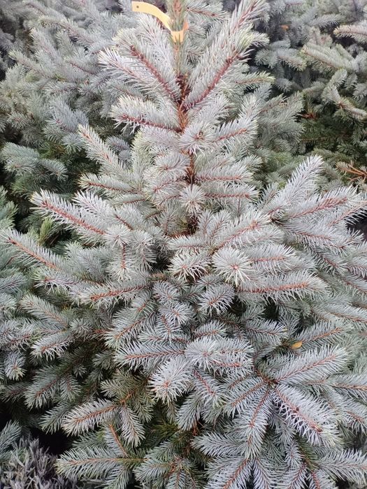 Гарантия качество