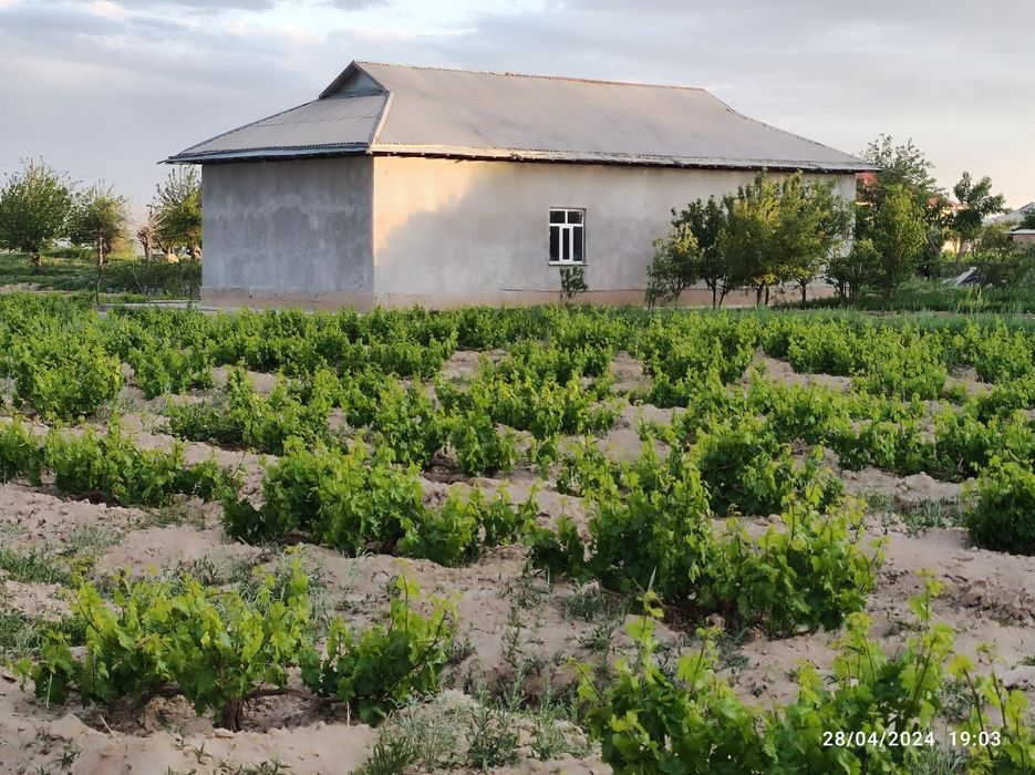 Uy joy sotiladi, 50 sotix