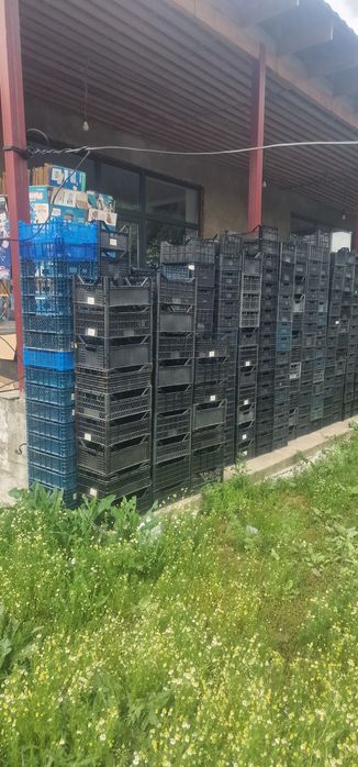 Продам пластиковые ящики.