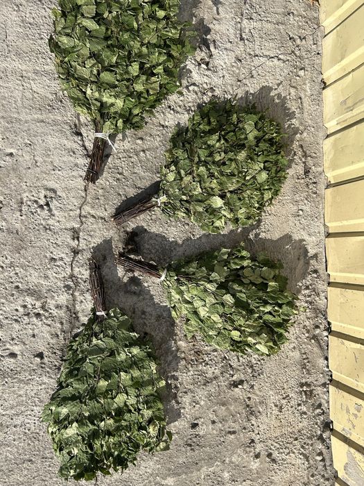 Березовые Банные веники