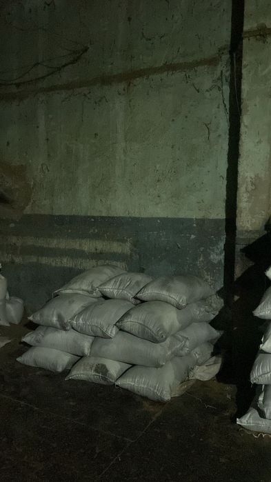 Семена люцерны !