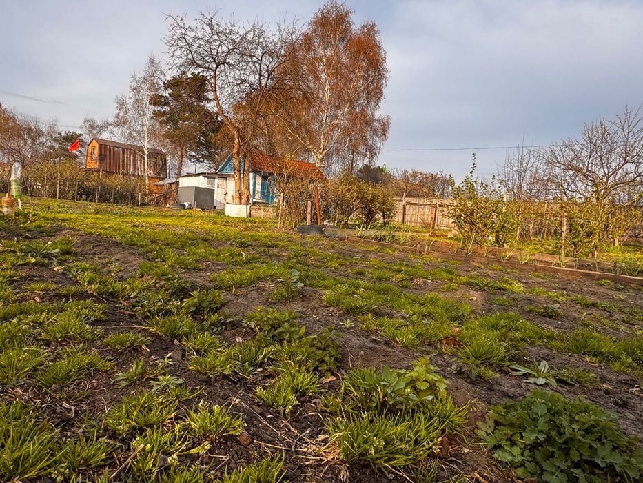 Продам дачу С.О. Мичуринец