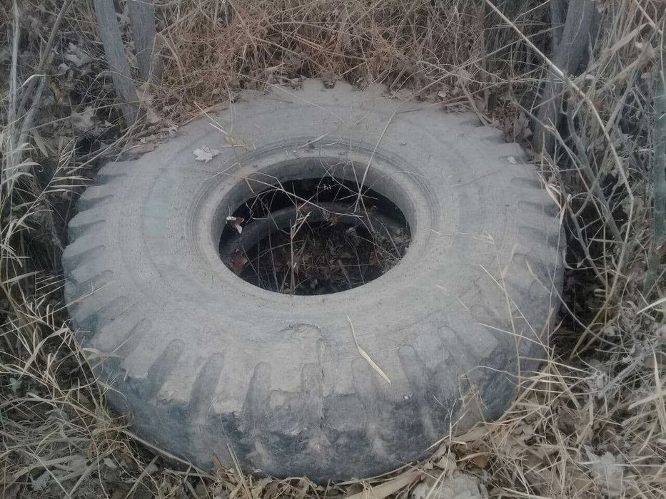 балонлар сотилади