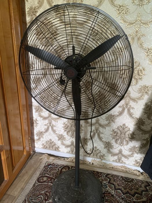 ventilyator yangidek