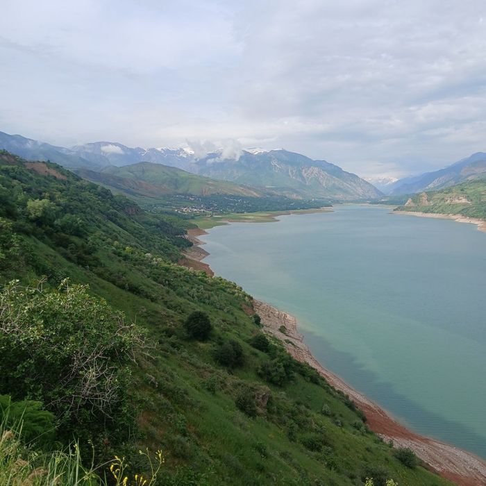 4 сотихдан 40 сотигача ерлар бор нархи устида гаплашилади  холис хизма