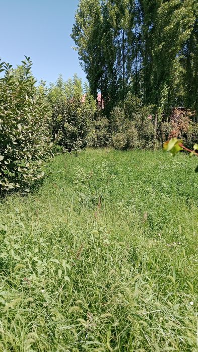 Тошкент вилояти қибрай тумани