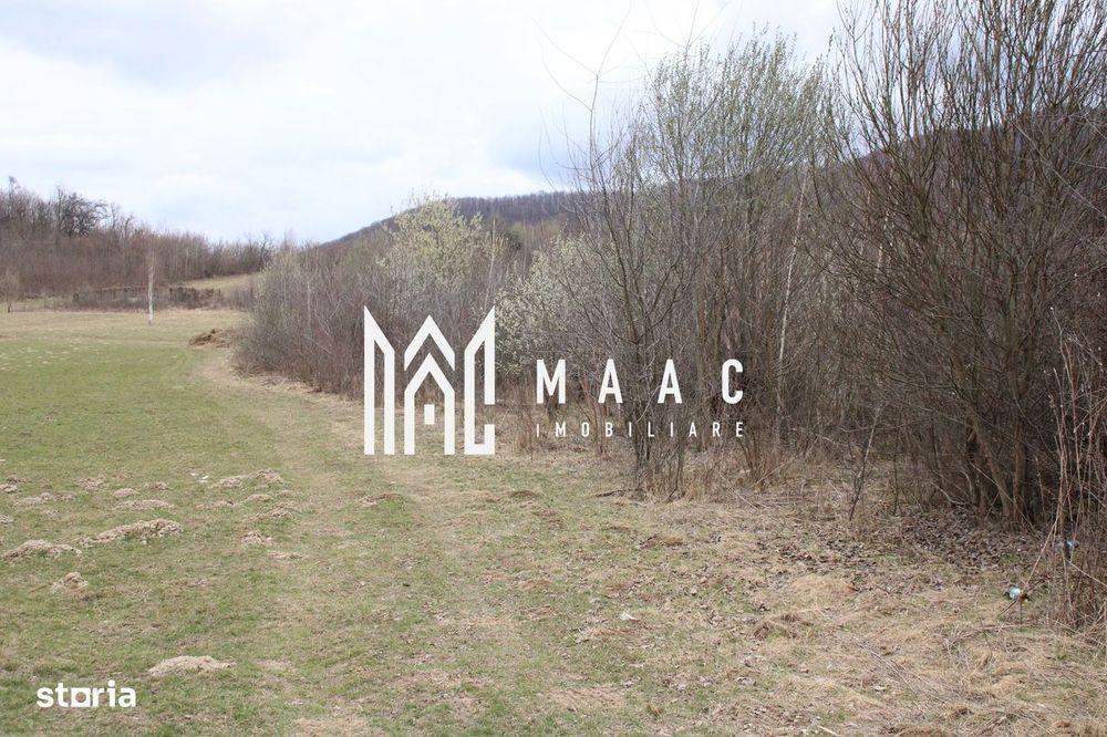 Pământ I Fereastră către Eternitate în  Transilvania