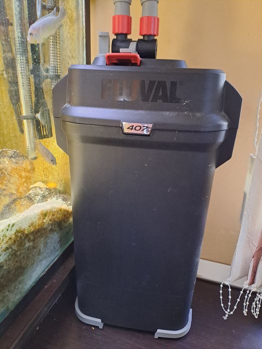 Vând acvariu ciclide 500l complet utilat