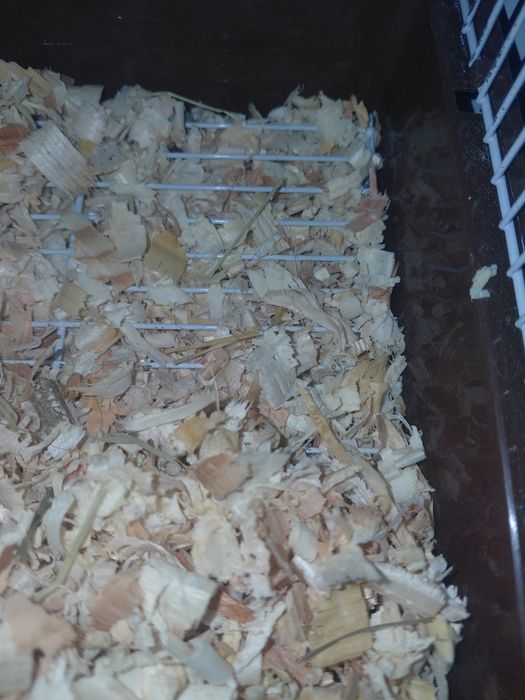 Продавам 2 етажна клетка за хамстер