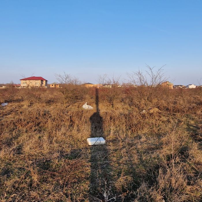 Vand teren intravilan Bragadiru