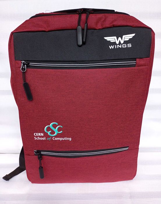 Раница за лаптоп WINGS