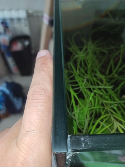 Аквариум с тумбой 80 литров