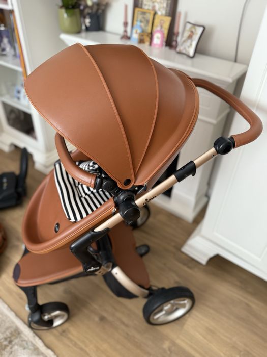 Carut Mima Xari Camel