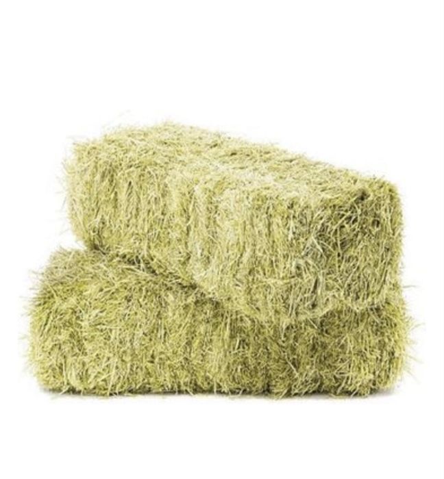 Продам тюг сено хороший жидняк