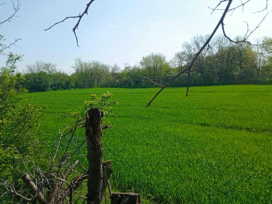 Продава се Парцел в Монтана, Идеален център - 1900 кв.м за 11 €/кв.м - Снимка #2