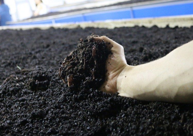 Биогумус 100% Biogumus 100%