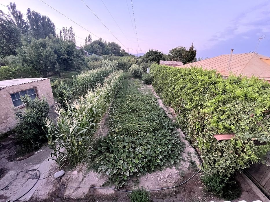 Дом с участком г.Чирчик (газ+свет,участок) от собственника)